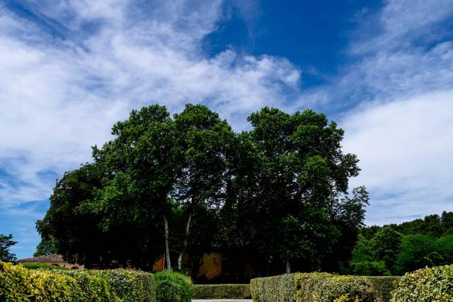 Domaine de Valbrillant 1