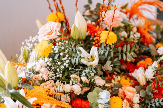 AxElena Production - 1