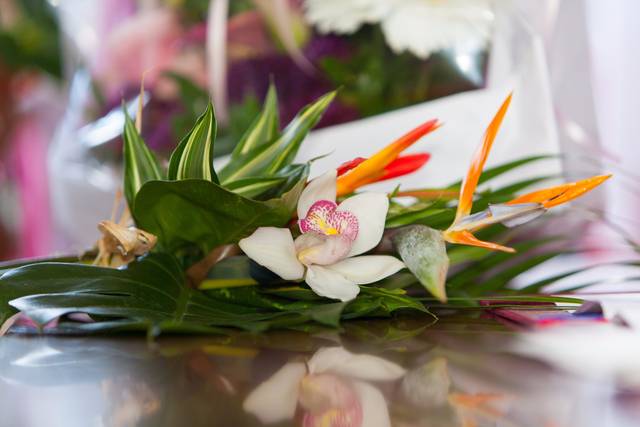 Fleurs Lointaines 1