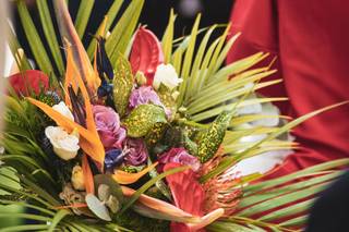 Fleurs Lointaines - 13