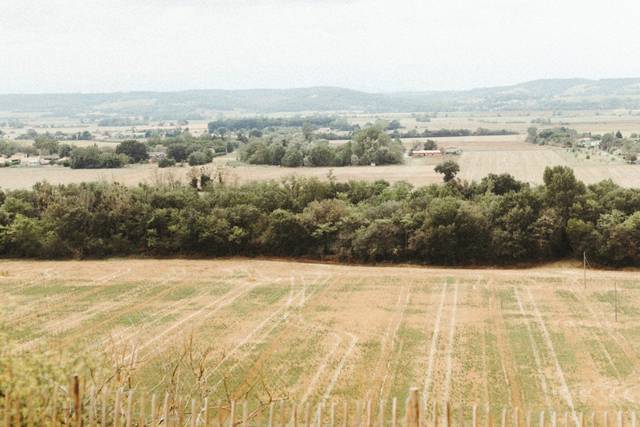 Domaine de Quintalone 3