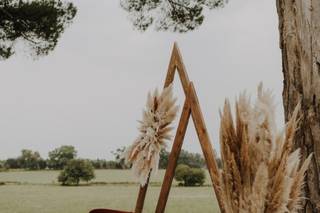 Thibaut Tattevin - 6