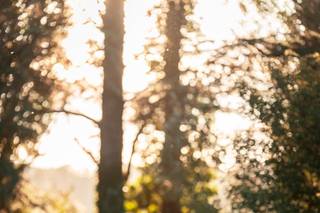 Guillaume Larcy - 5