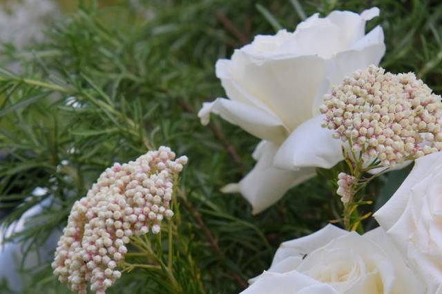 Lovin' Fleur 3