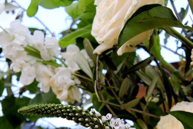 Lovin' Fleur 4