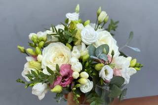 Lily & Bloom - 5