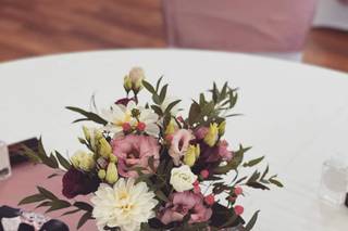 Lily & Bloom - 7