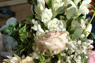 Jardin de Florette - 11