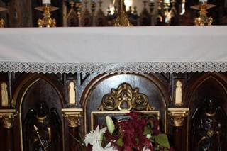 Art & Végétal - 15