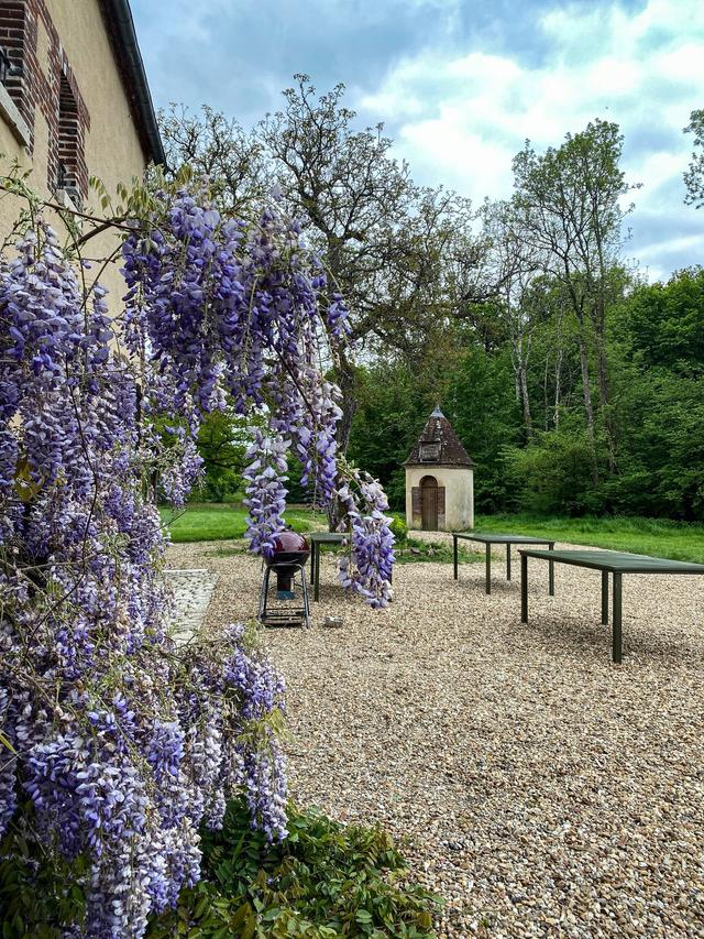 Domaine du Vieux Muguet - 4