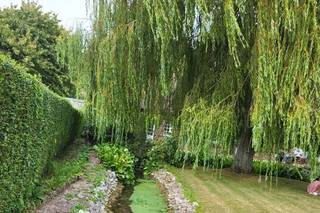 Moulin du Becquerel - 6