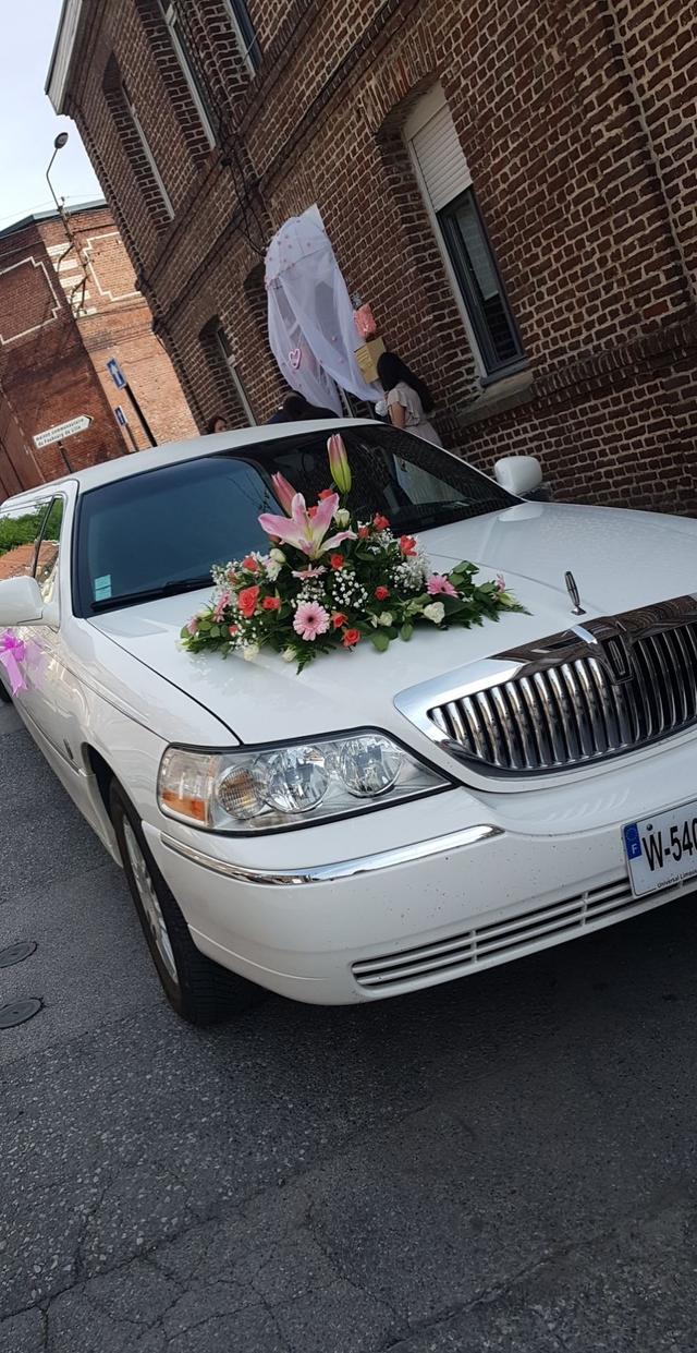 Universal Limousines - 2