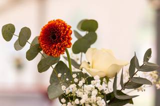 Jantzen Fleurs - 17