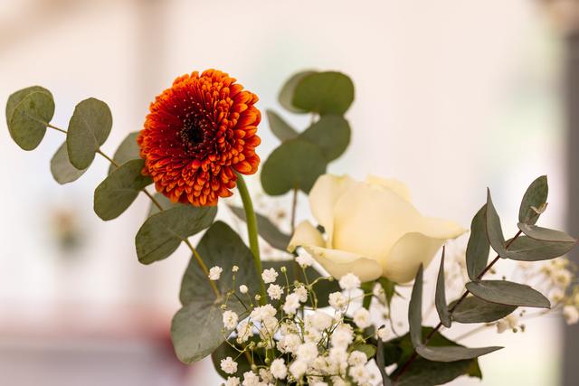 Jantzen Fleurs - 4