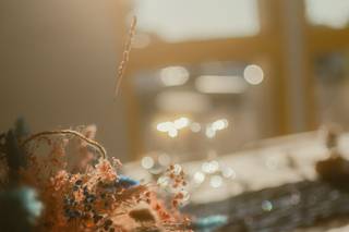 ML Flowers - 6