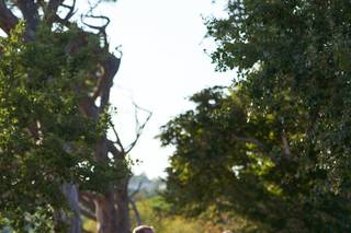 Rieu-Patey Photographie - 12