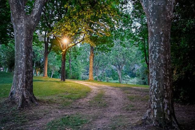 Fiona Demichelis Photographie 3