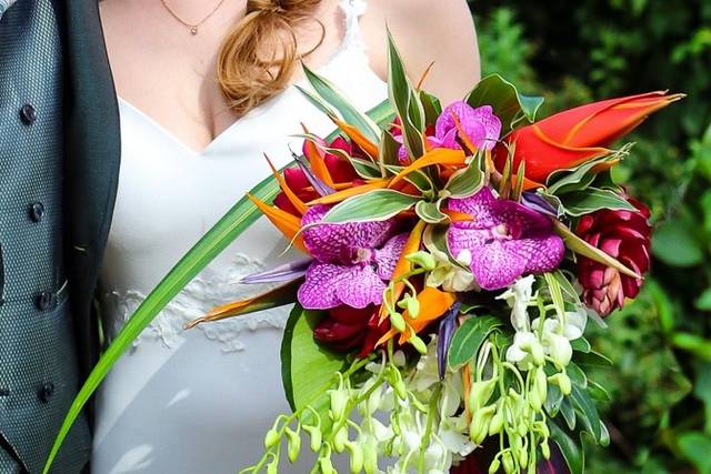 Fleurs de Coton 1