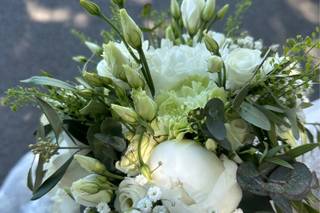 Florelie Aquaflora - 5