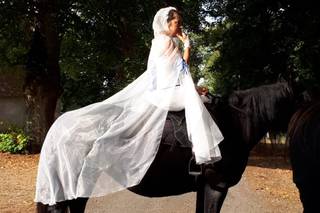 Touraine Cheval - 9