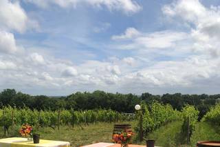Domaine de Saint Amand - 24
