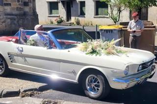 Gérard Dumortier - 7