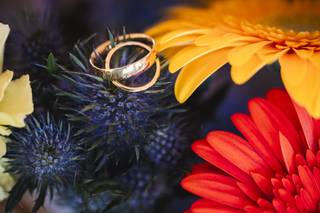 Philippe Murtas Photographe - 11