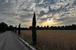 Domaine des Maillettes - 22