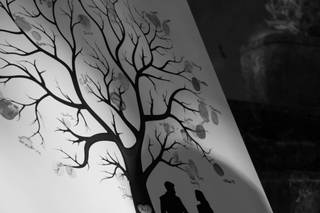 OA Studio Photographe - 11