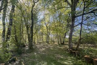 Les Écuries de Sologne - 5