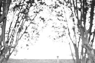 Guillaume Planat Photographies - 19