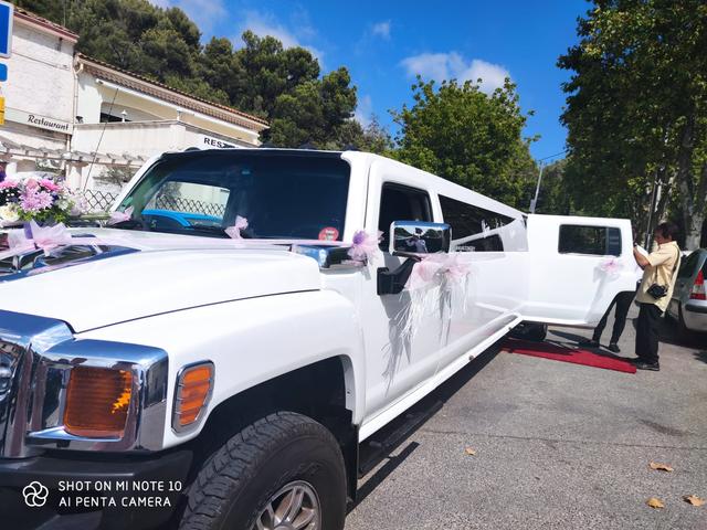 IB Limousine - 1