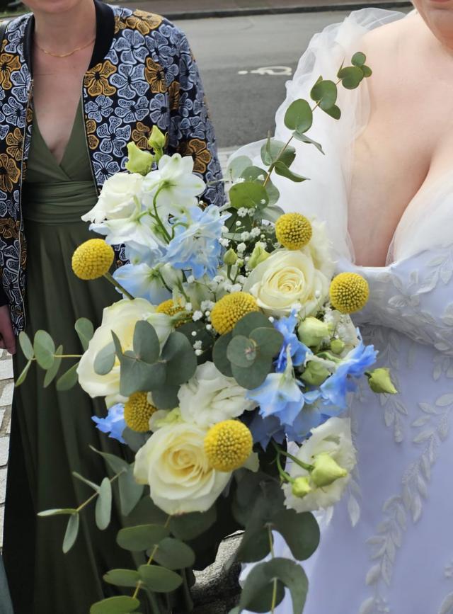 Bellis Event - 2