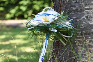 Art et Nature - 12