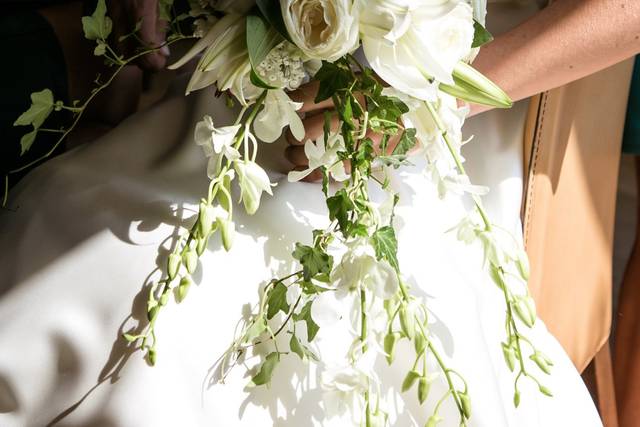 Nakedcat Wedding 3
