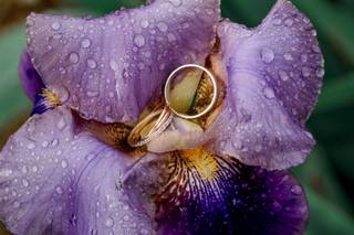 Renauld Photographie - 9