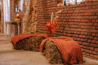 Ferme de Montplaisir - 7