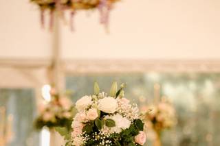 Eclosion Florale - 7