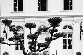 Sarah-Leila Photographie - 9