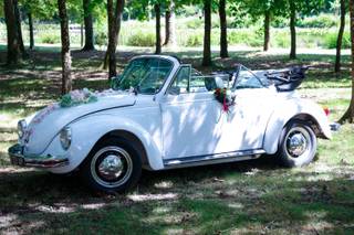 Aurélien Méchineau - 9