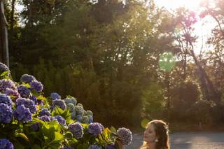 Le Miroir d'Images - 17