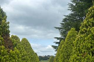 Domaine Pascaud - 6