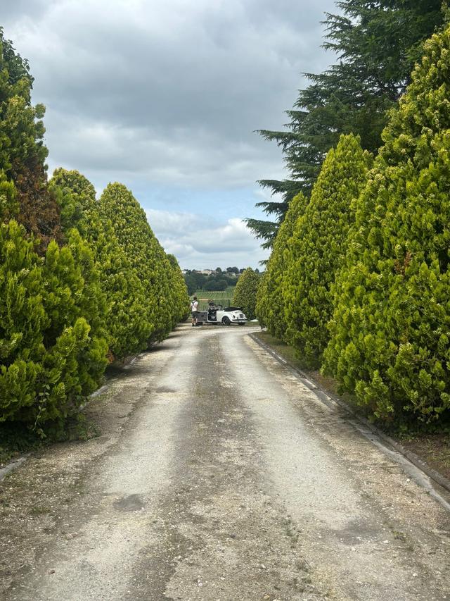 Domaine Pascaud - 2
