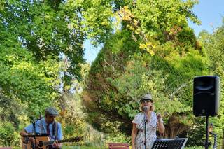 Miss Collie & The Trees - 3