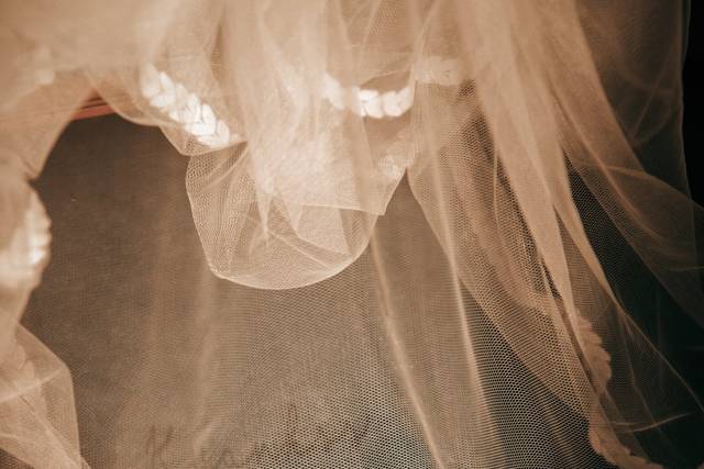 Elisabeth Veil Collection 1
