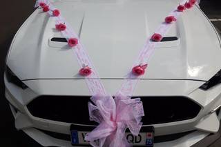 Luxury Lease - 14