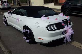 Luxury Lease - 15