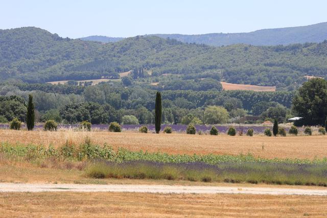 Domaine de La Barbeirasse - 1