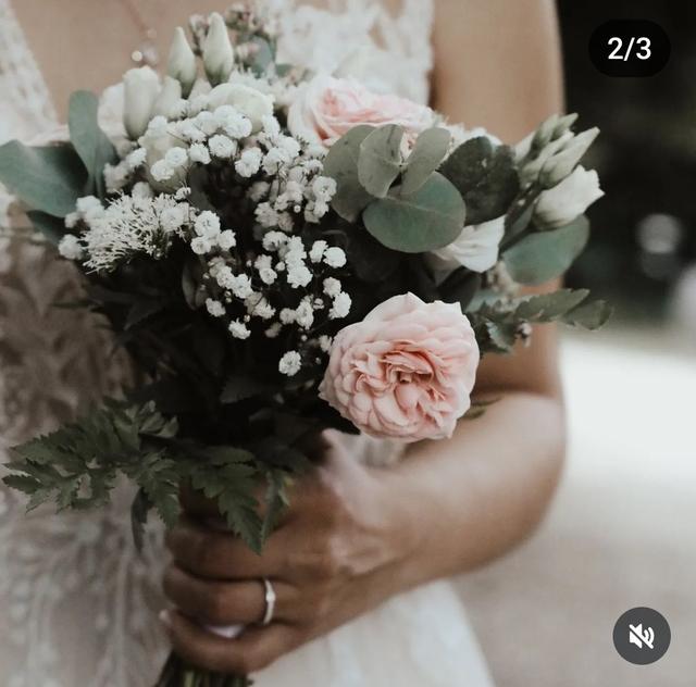 Stéphanie Photographie - 1