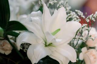 Akane 'le murmure des fleurs' - 13